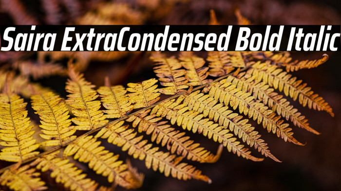 Saira ExtraCondensed Bold Italic Example 1