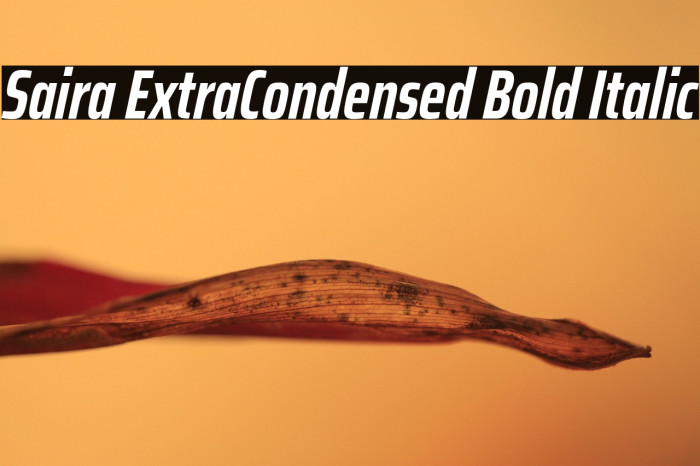 Saira ExtraCondensed Bold Italic Example 2