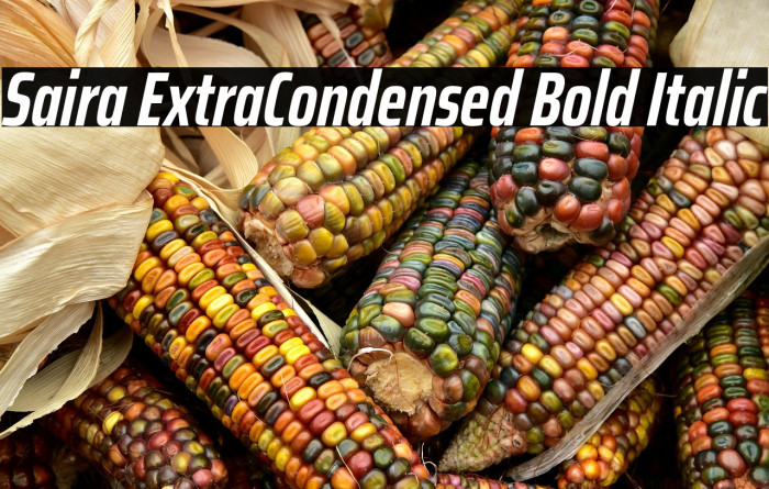 Saira ExtraCondensed Bold Italic Example 3