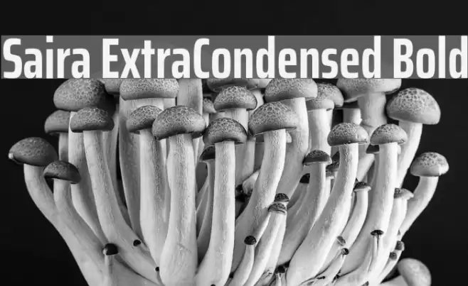 Saira ExtraCondensed Bold Font examples