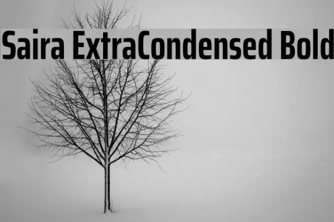 Saira ExtraCondensed Bold Font examples