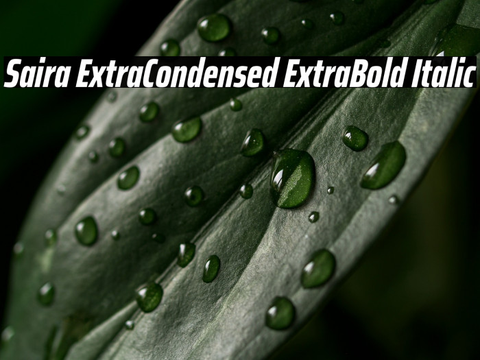 Saira ExtraCondensed ExtraBold Italic Example 3