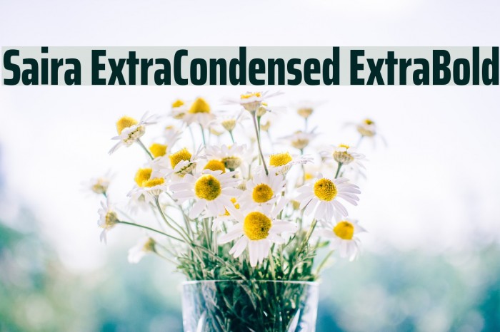 Saira ExtraCondensed ExtraBold Font examples