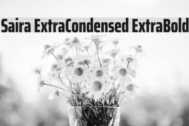 Saira ExtraCondensed ExtraBold Font examples
