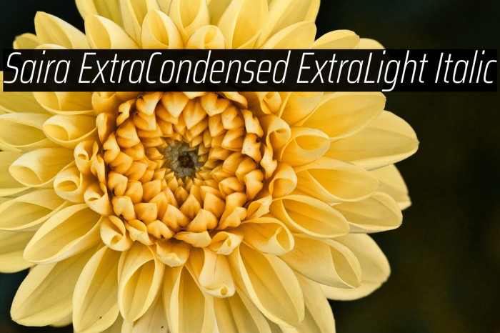 Saira ExtraCondensed ExtraLight Italic Example 1
