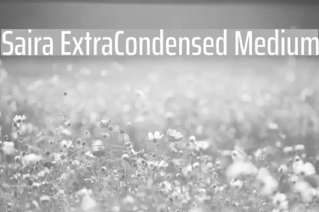 Saira ExtraCondensed Medium Font examples
