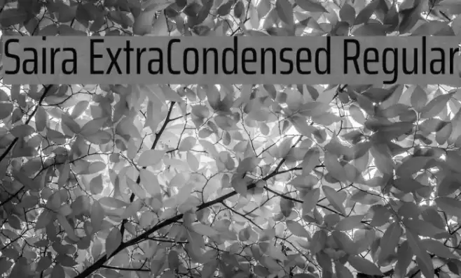 Saira ExtraCondensed Regular Font examples
