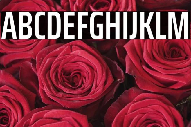 Saira ExtraCondensed SemiBold Example 1