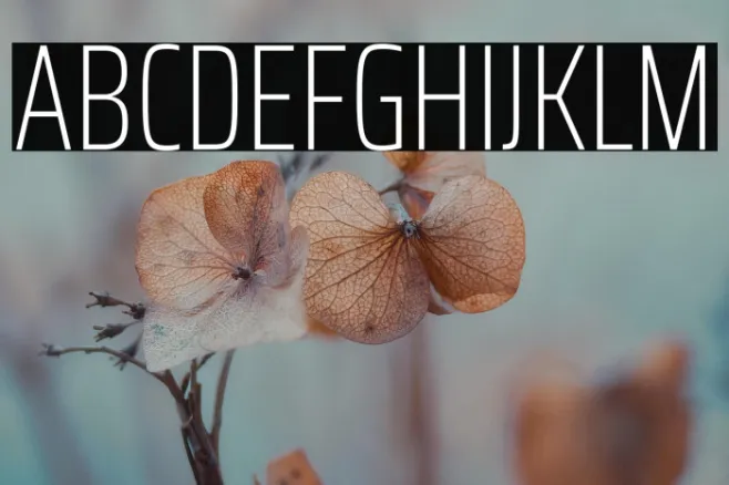 Saira ExtraCondensed Thin Example 2