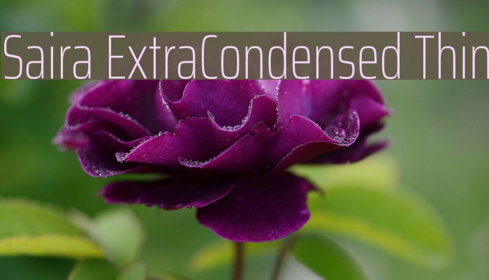 Saira ExtraCondensed Thin Font examples