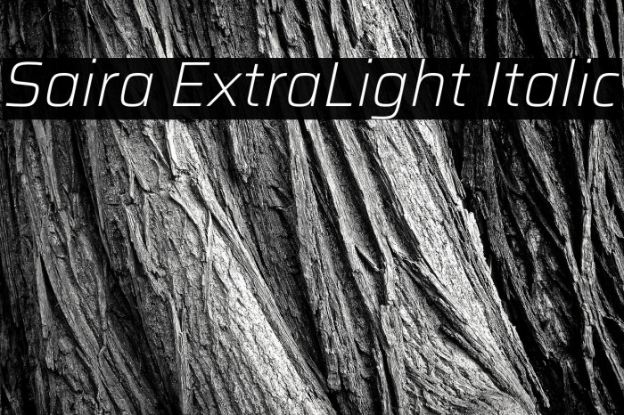Saira ExtraLight Italic Example 2