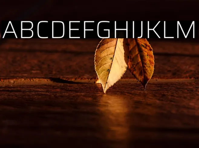 Saira ExtraLight Example 3