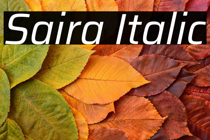 Saira Italic Example 2
