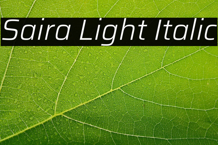 Saira Light Italic Example 2