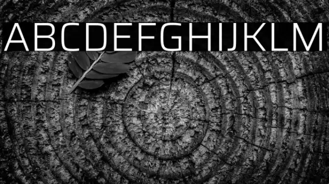 Saira Light Font examples