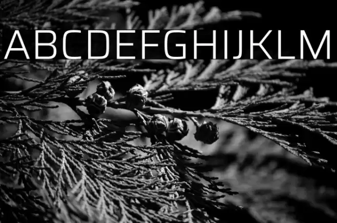 Saira Light Font examples