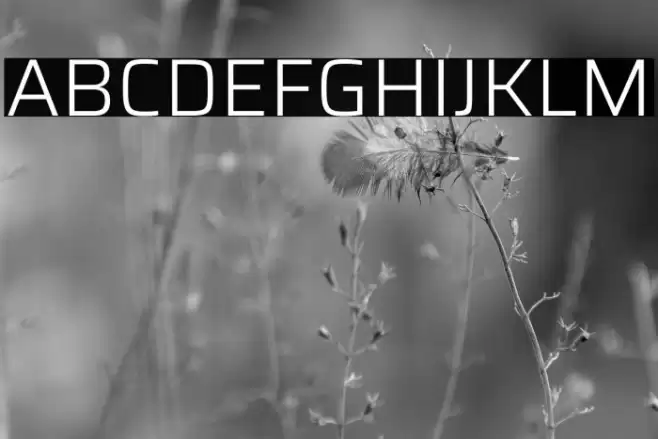 Saira Light Font examples