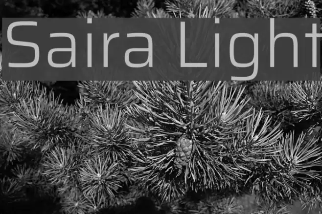 Saira Light Font examples