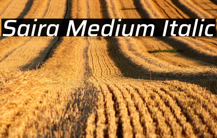 Saira Medium Italic Example 1