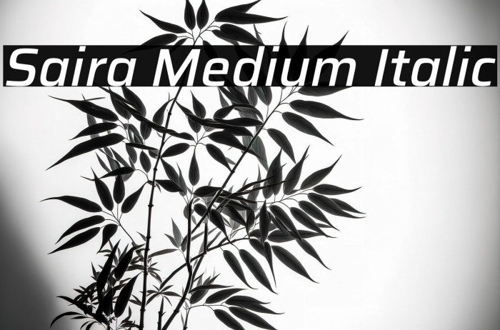 Saira Medium Italic Example 2