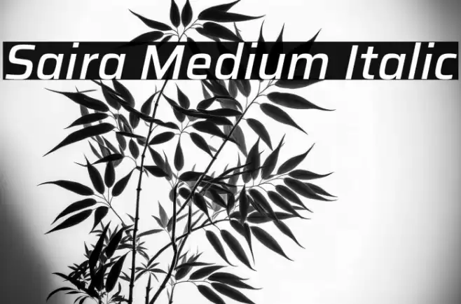 Saira Medium Italic Font examples