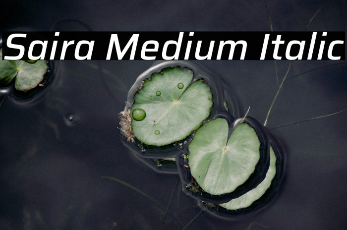 Saira Medium Italic Example 3