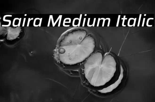 Saira Medium Italic Font examples