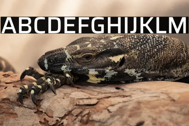 Saira Medium Example 2