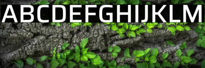 Saira Medium Example 3