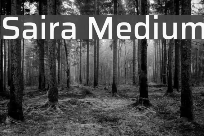 Saira Medium Font examples