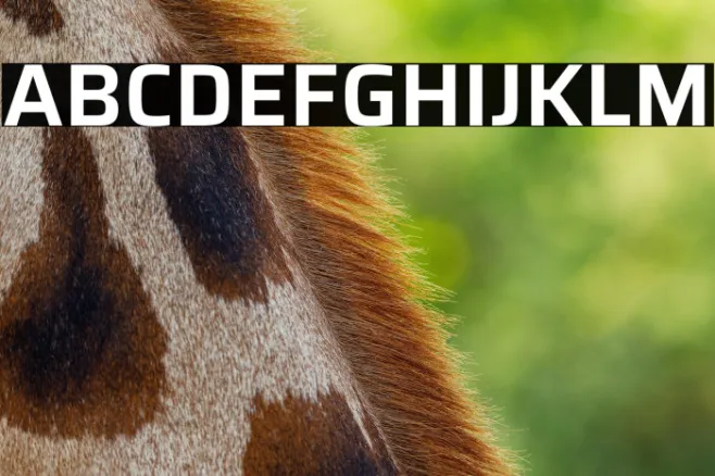 Saira SemiBold Example 2