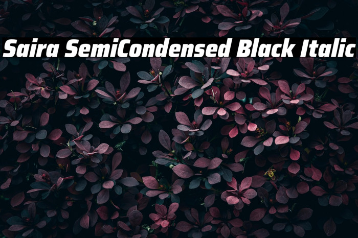 Saira SemiCondensed Black Italic Example 2