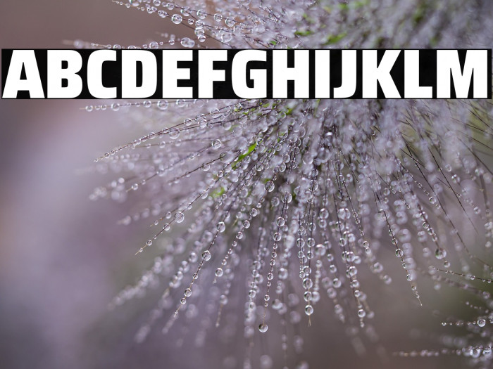 Saira SemiCondensed Black Example 3