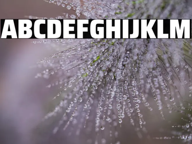 Saira SemiCondensed Black Example 3