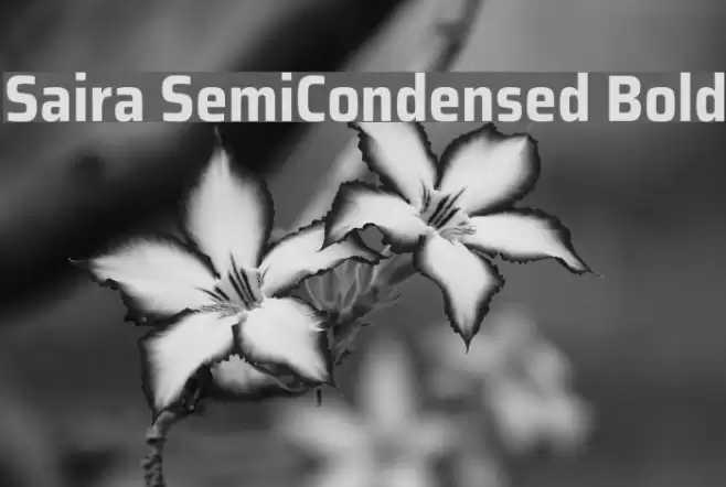 Saira SemiCondensed Bold Font examples