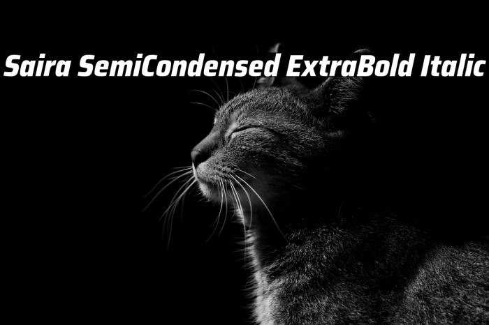 Saira SemiCondensed ExtraBold Italic Example 3