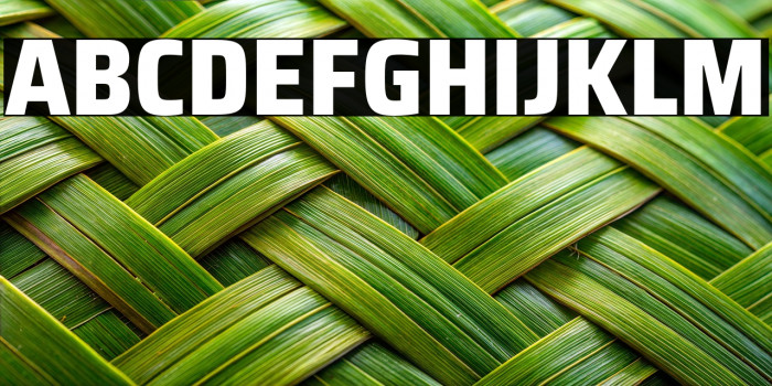 Saira SemiCondensed ExtraBold Example 1