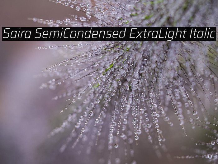 Saira SemiCondensed ExtraLight Italic Example 2