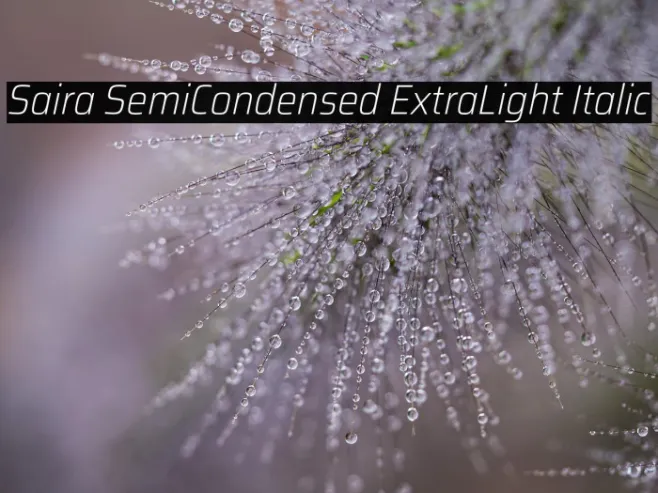 Saira SemiCondensed ExtraLight Italic Example 2