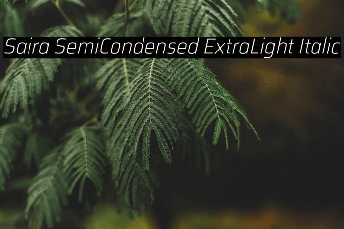 Saira SemiCondensed ExtraLight Italic Example 3