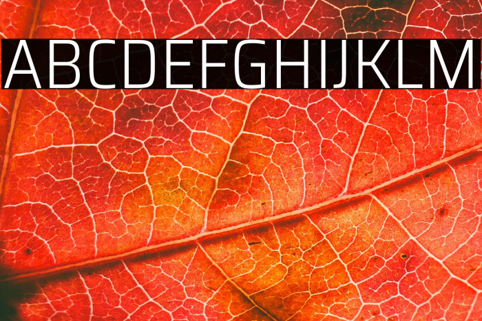 Saira SemiCondensed Light Example 1