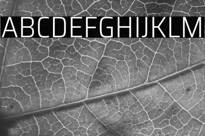 Saira SemiCondensed Light Font examples