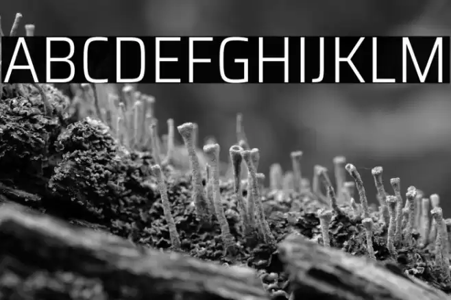 Saira SemiCondensed Light Font examples