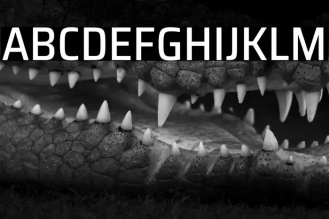 Saira SemiCondensed Medium Font examples