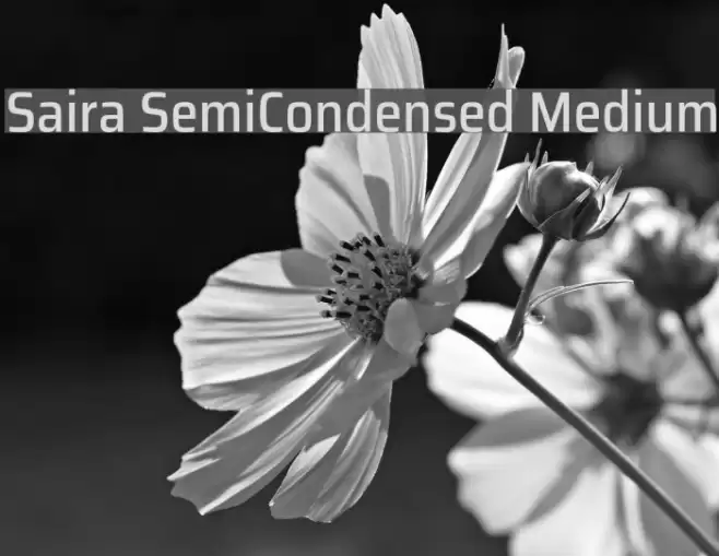 Saira SemiCondensed Medium Font examples