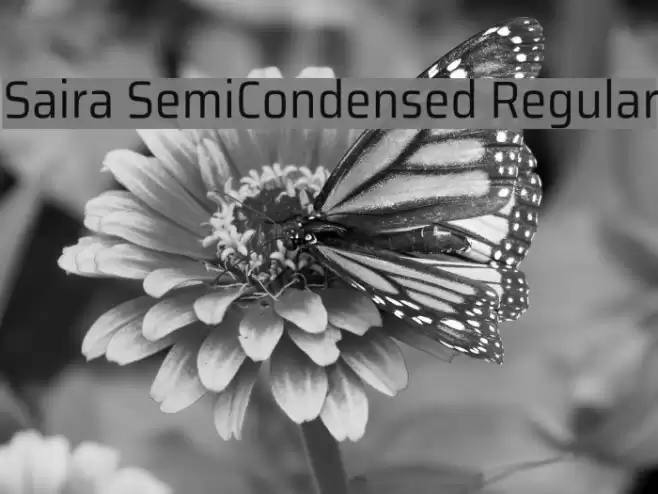 Saira SemiCondensed Regular Font examples