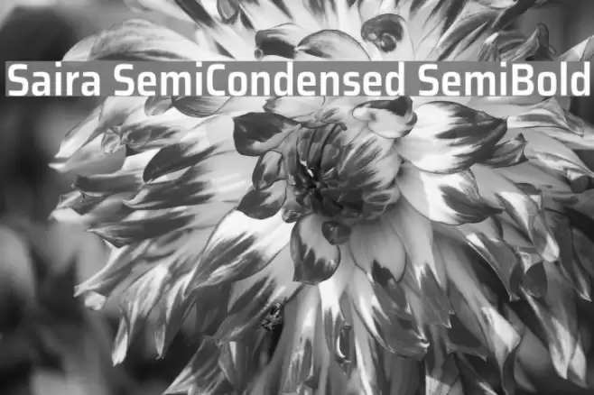 Saira SemiCondensed SemiBold Font examples