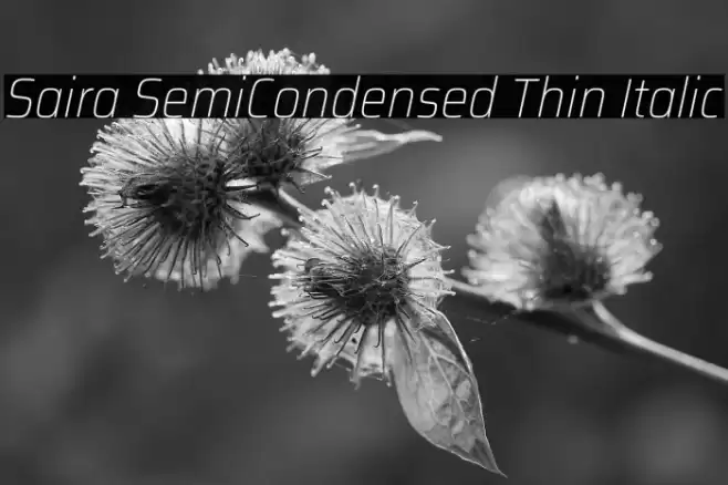 Saira SemiCondensed Thin Italic Font examples