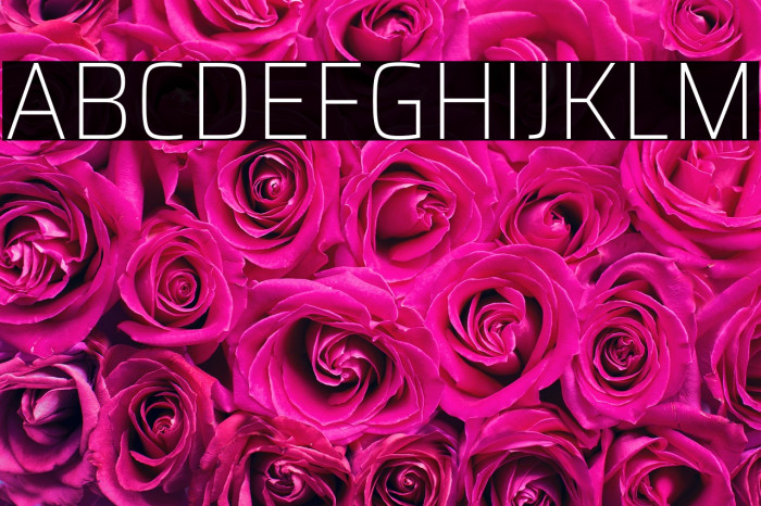 Saira SemiCondensed Thin Example 2