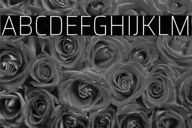 Saira SemiCondensed Thin Font examples